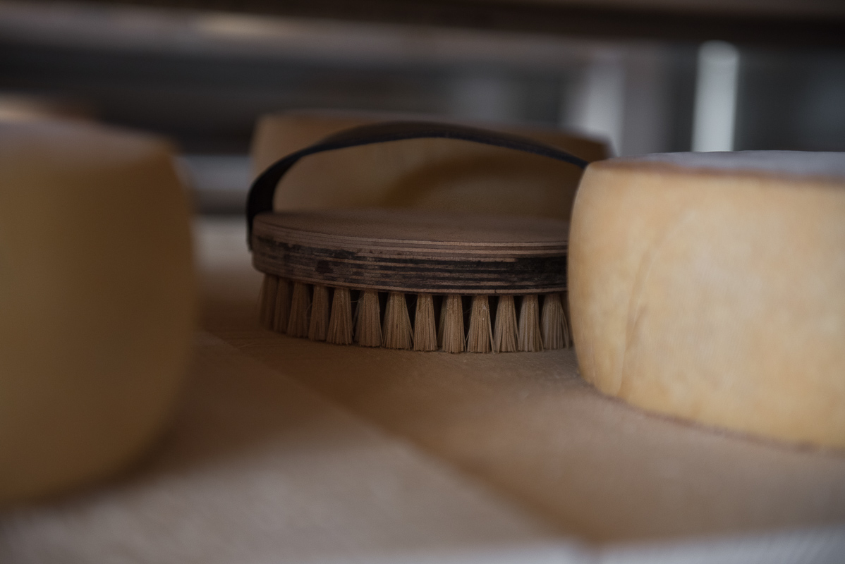 Les fromages Pondi sur les planches d'affinage en épicéa