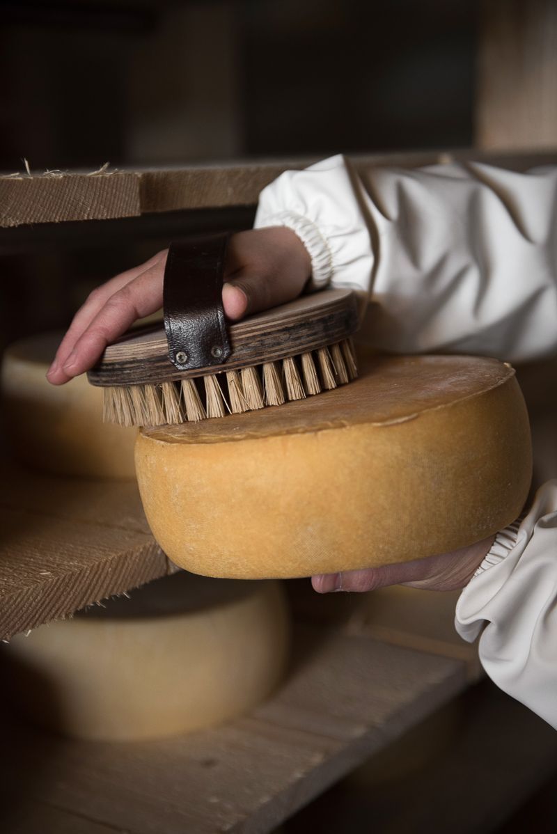 Brossage d'un fromage Pondi