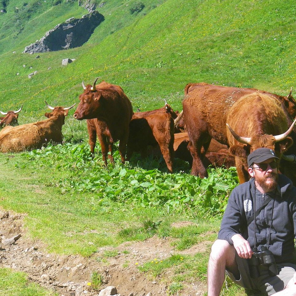 Salers du Puy de Sancy